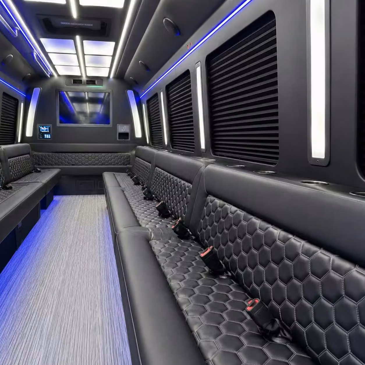 los altos party bus party lighting